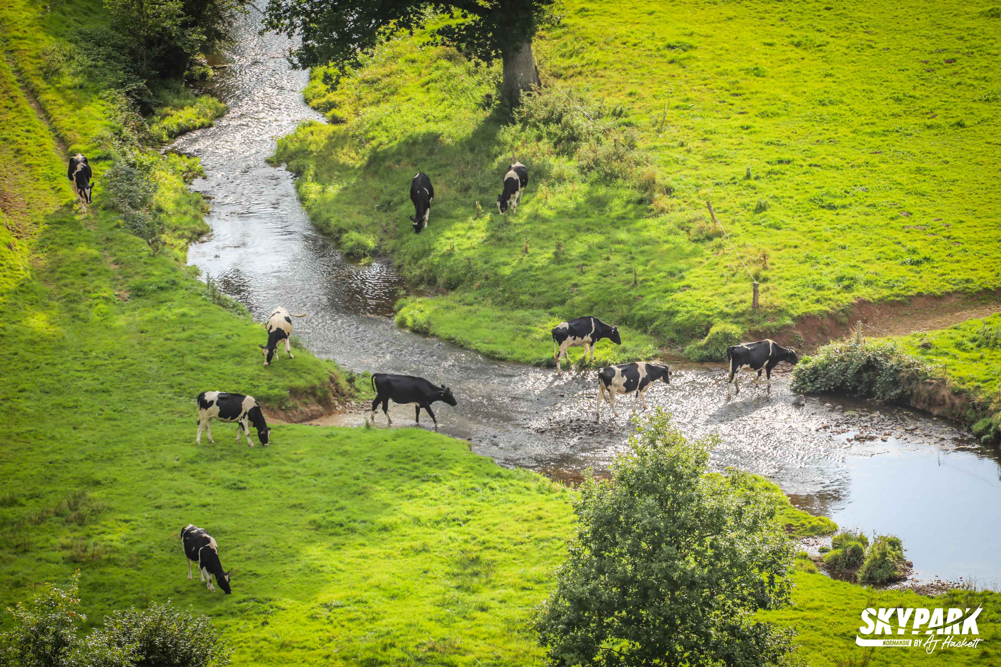 La faune de la vallée de la souleuvre