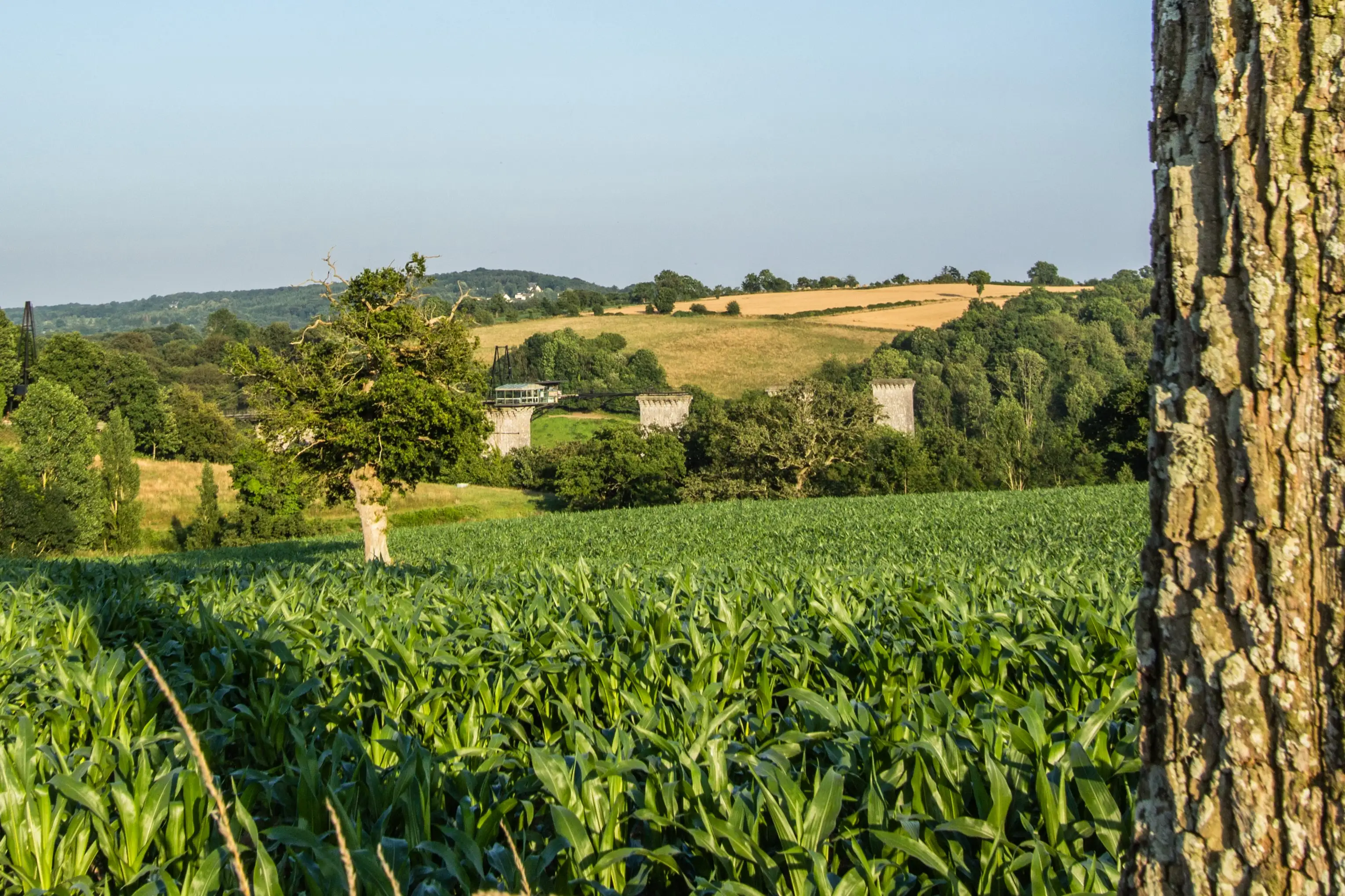 La nature de la vallée de la souleuvre