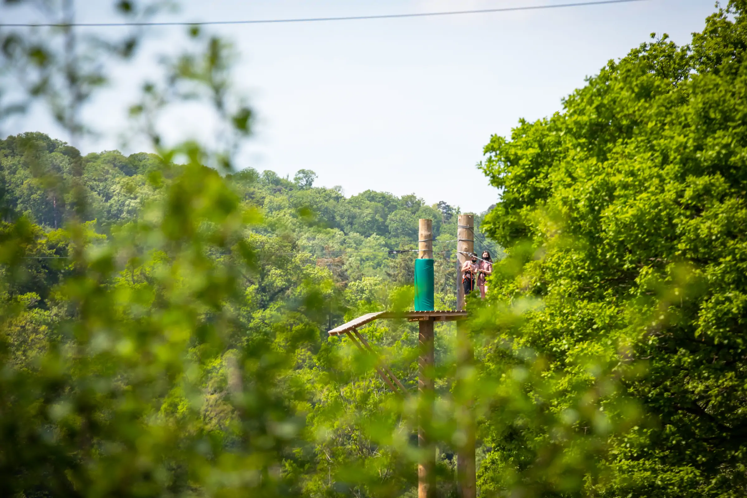 Family treetop adventure