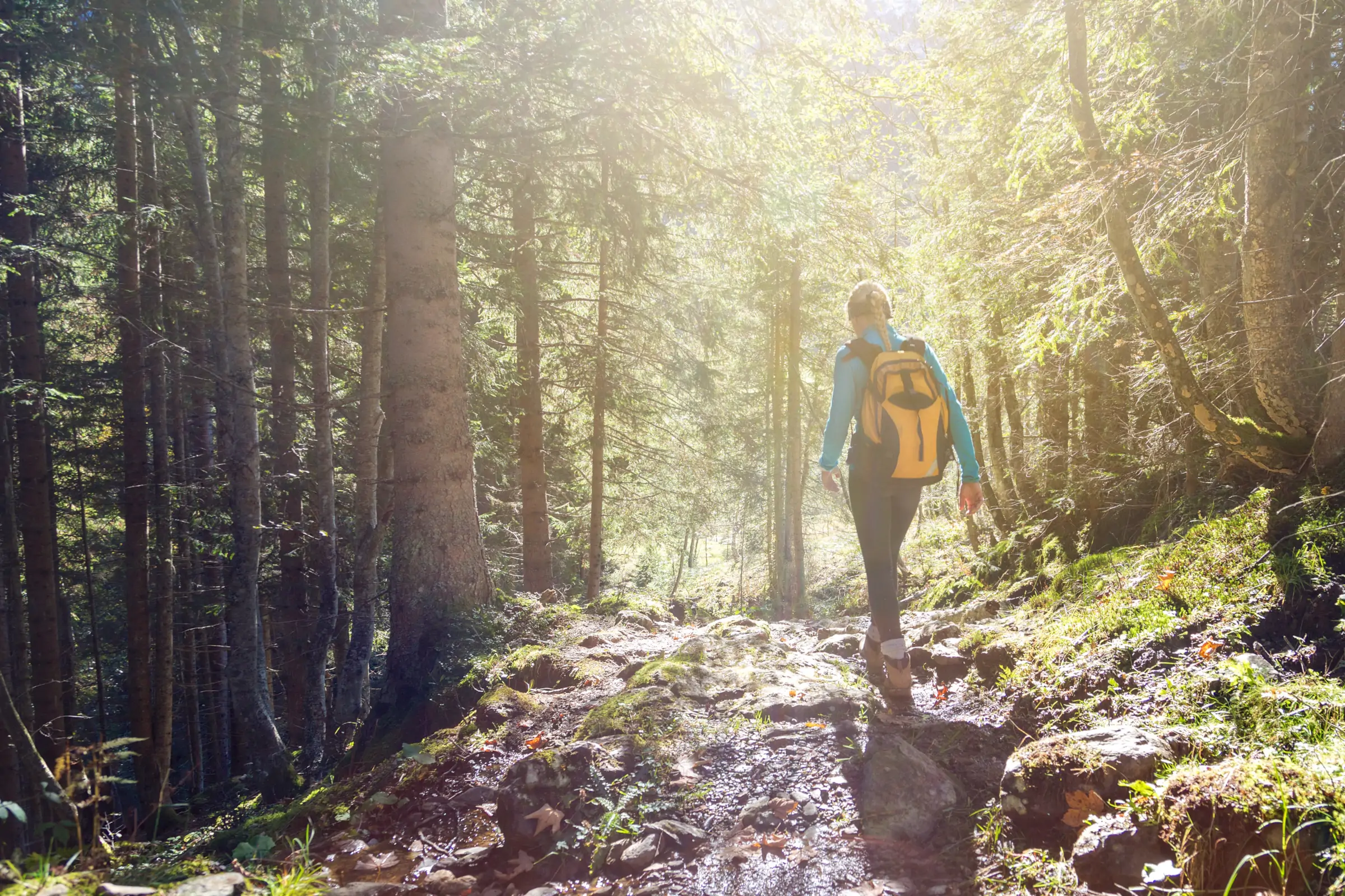 hike-from-roucamps-to-souleuvre-an-immersion-in-the-heart-of-nature