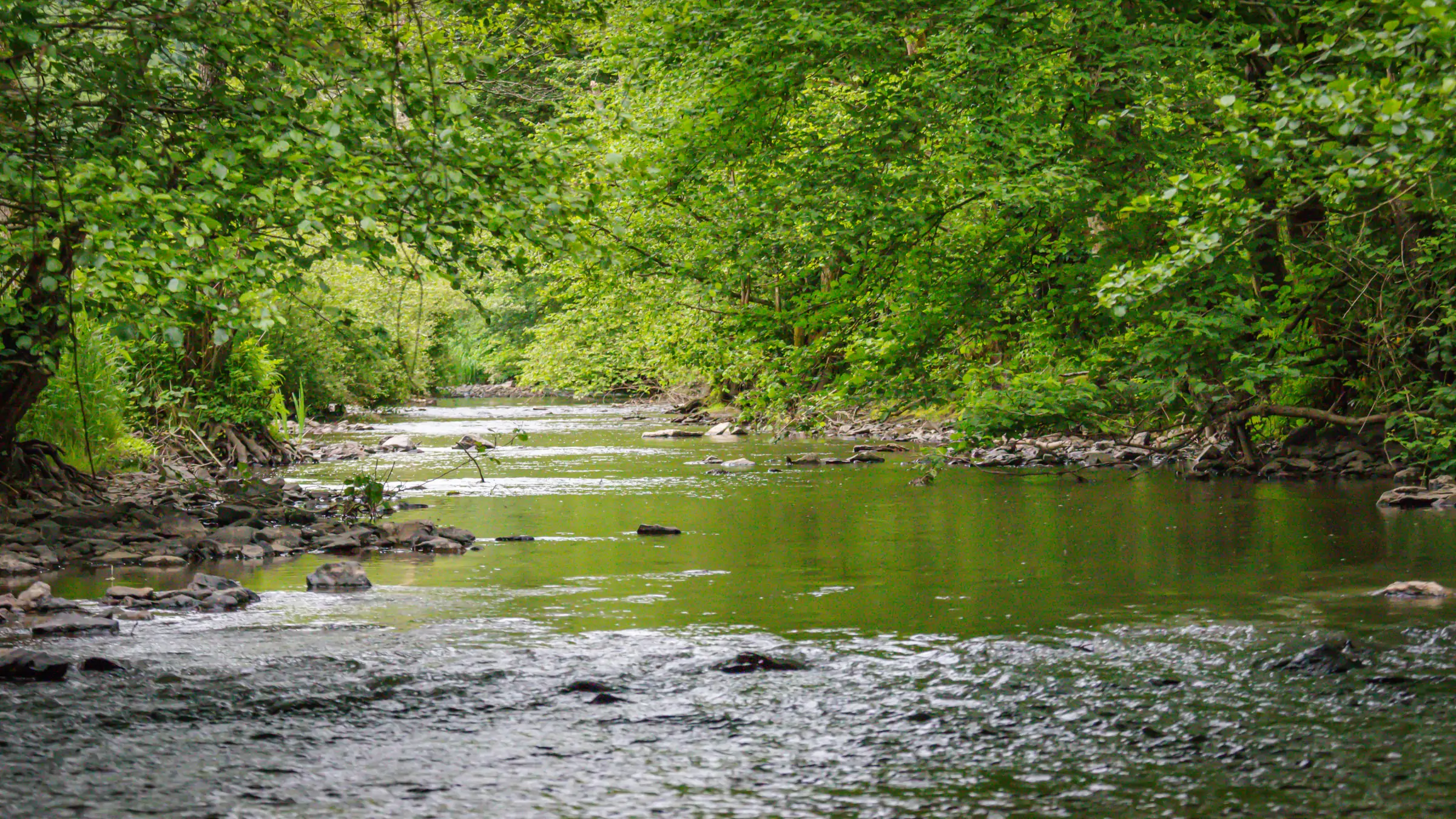 nature-the-river-viaduc-de-la-souleuvre