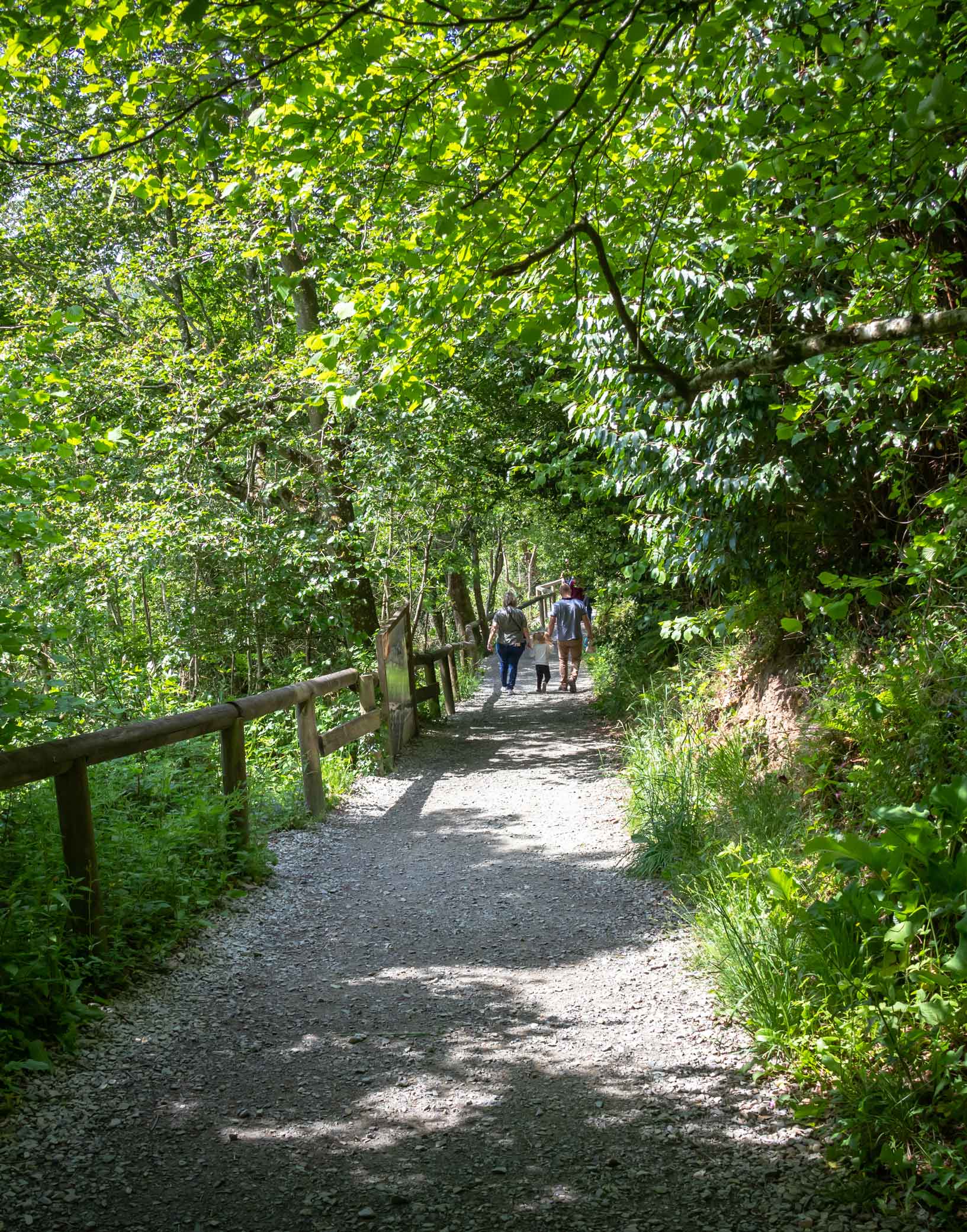 balade en famille dans la vallée de la souleuvre